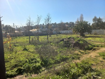 Imagen 7