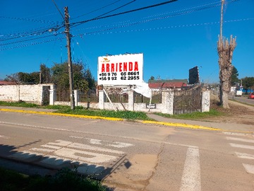 Imagen 15