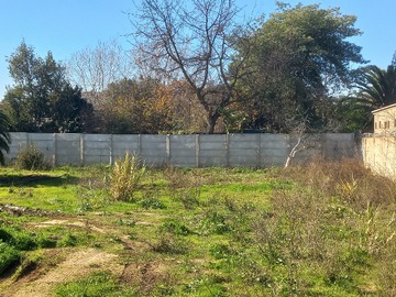 Imagen 11