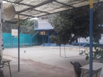 Imagen 3