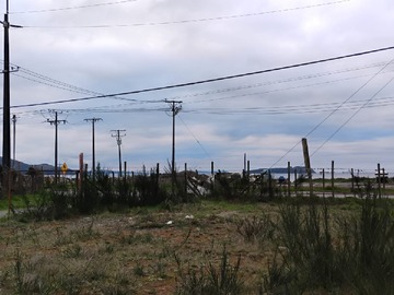 Imagen 13