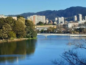 Venta / Bodega / Concepción