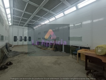 Imagen 7