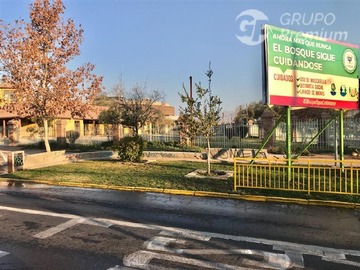 Imagen 6