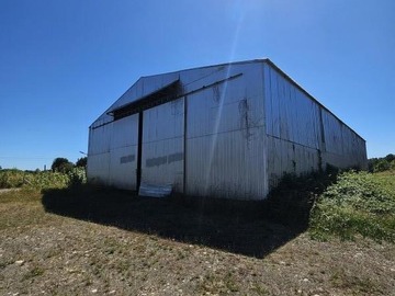 Venta / Bodega / Freire