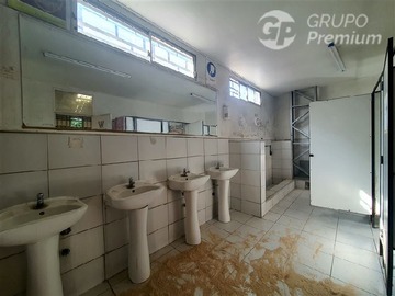 Imagen 35