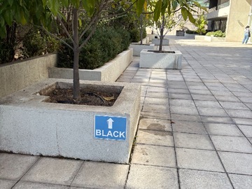 Imagen 7