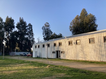 Imagen 4