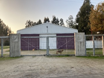 Venta / Bodega / Paine