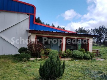 Venta / Bodega / Purranque