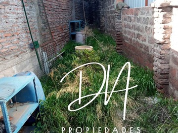 Imagen 7