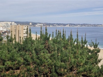 Venta / Casa / Algarrobo