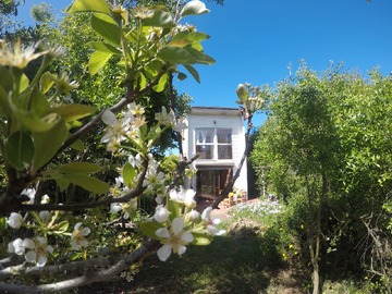 vista desde jardin a la casa