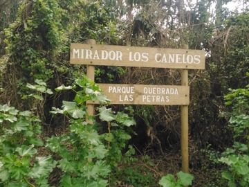 Imagen 14