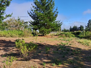 Imagen 18