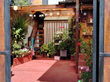 Imagen 6