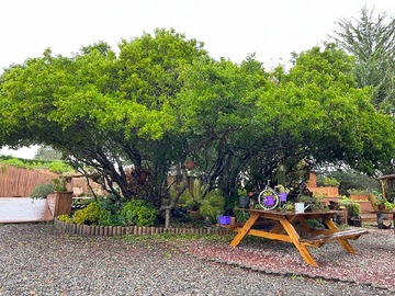 Imagen 6