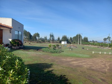 Imagen 15