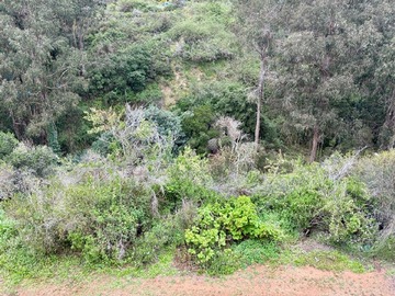 Imagen 33