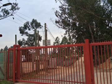 Imagen 5