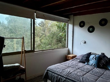 Imagen 7