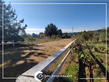 Imagen 7