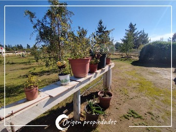 Imagen 6