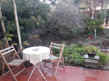 Jardin y patio de la casa