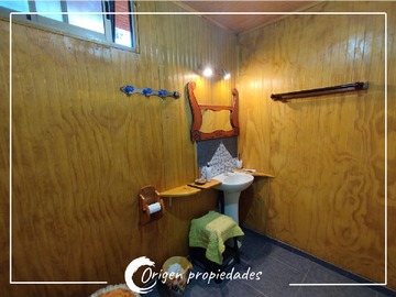 Imagen 13