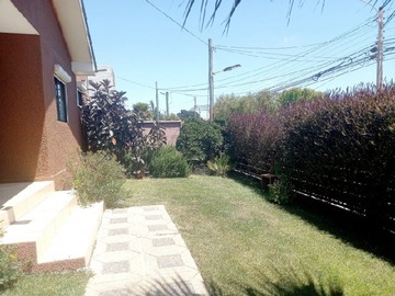 Imagen 13
