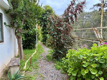 Imagen 24