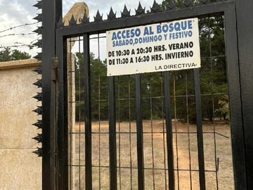 Imagen 20