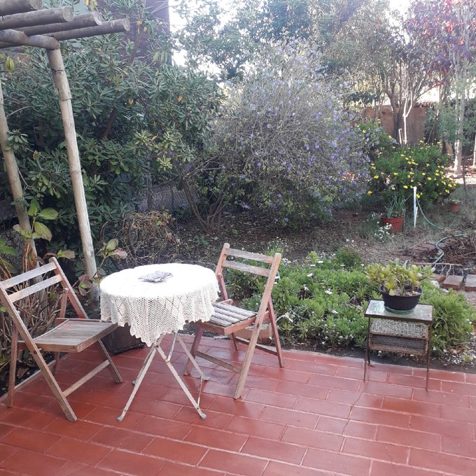 Jardin y patio de la casa