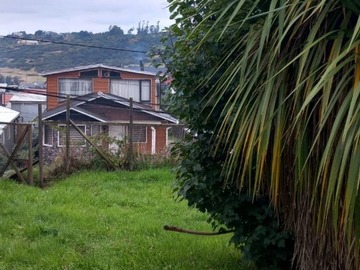 Imagen 7