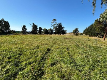 Venta / Casa / Ancud