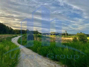Imagen 30