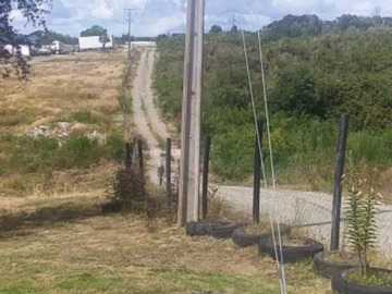 Imagen 7