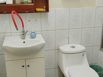 Imagen 13