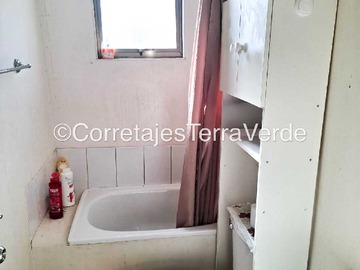 Imagen 5