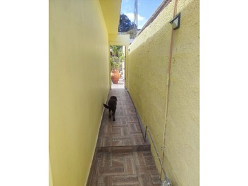 Imagen 29