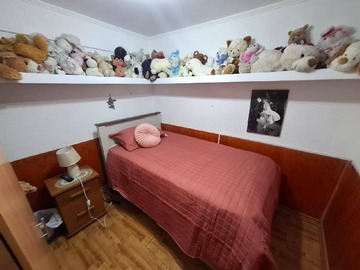 Imagen 5
