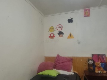 Imagen 6