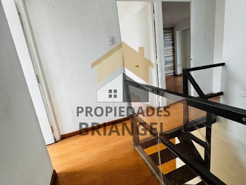 Imagen 12