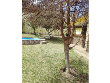 Imagen 26