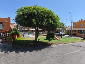 Imagen 24