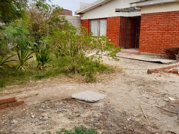 Imagen 19