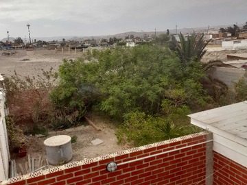 Imagen 13
