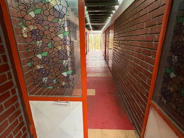 Imagen 11