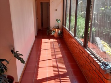 Imagen 15