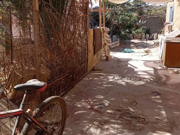 Imagen 11